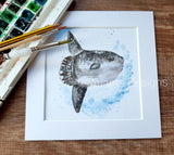 Sunfish - 8" Mounted Watercolour Diving Print