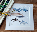 Whales & Dolphins - 8" Mounted Watercolour Print Scuba Diving