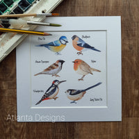 Garden Birds - 8" Mounted Watercolour Print