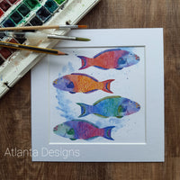 Parrotfish - 8" Mounted Watercolour Print - Scuba Diving