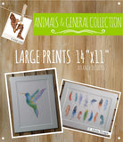 ANIMALS, BALLOONS & GENERAL - Large 11x14" Watercolour Prints